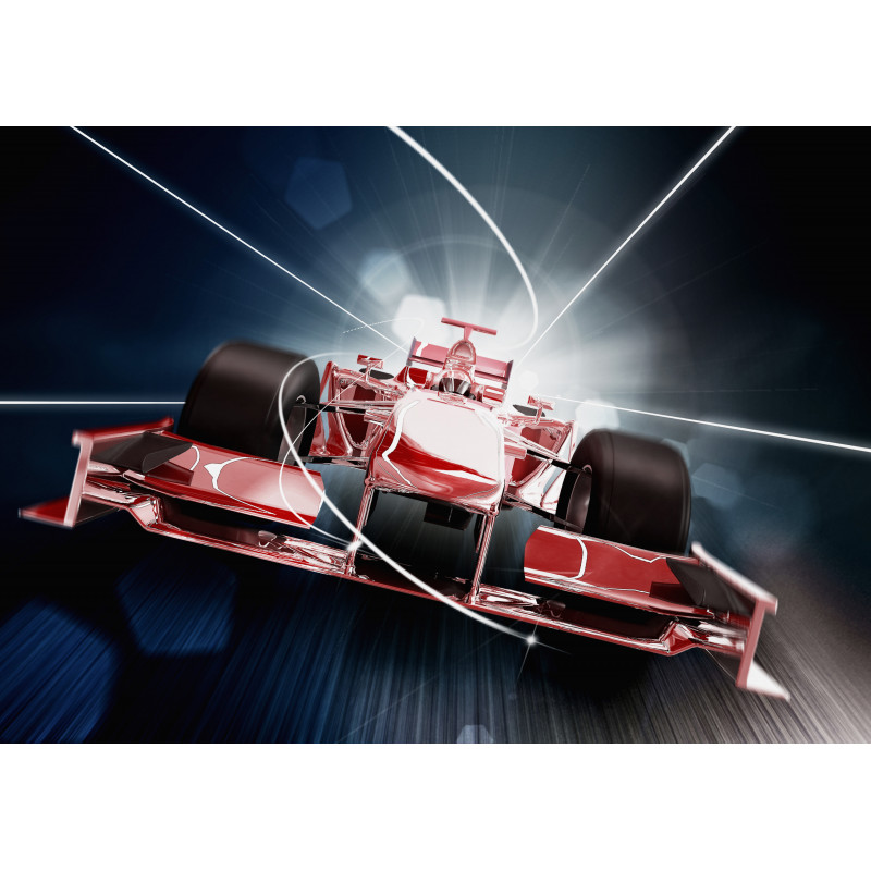 Formule 1, simulateur de course F1 à Lyon, circuit, pilotage et stage